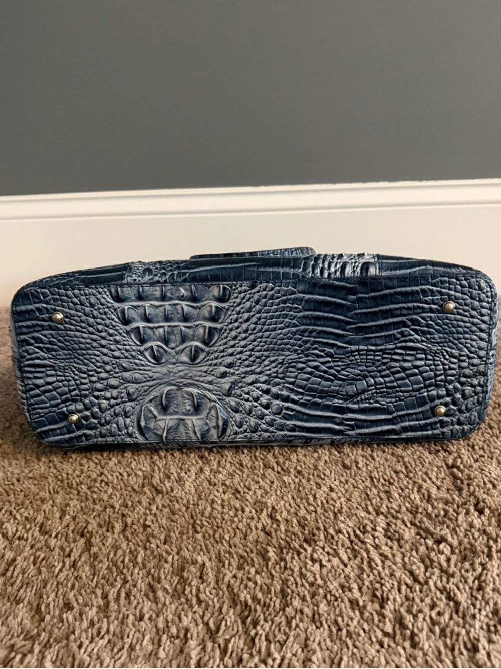 Like NEW Brahmin Melbourne Misha XL Tote - Picture 10 of 10